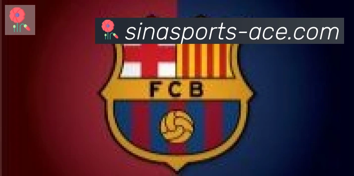 新浪体育合作伙伴