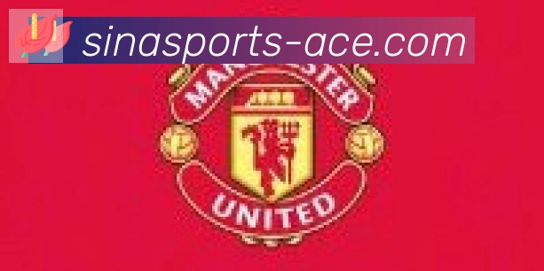 新浪体育合作伙伴