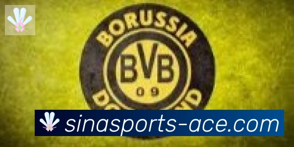 新浪体育合作伙伴